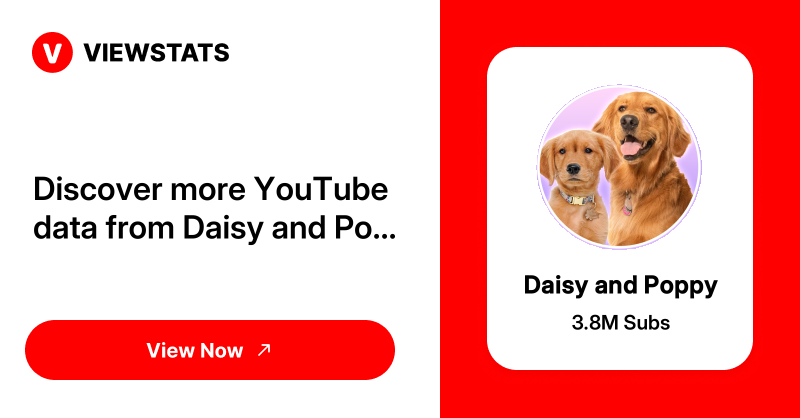 Daisy and Poppy - Viewstats